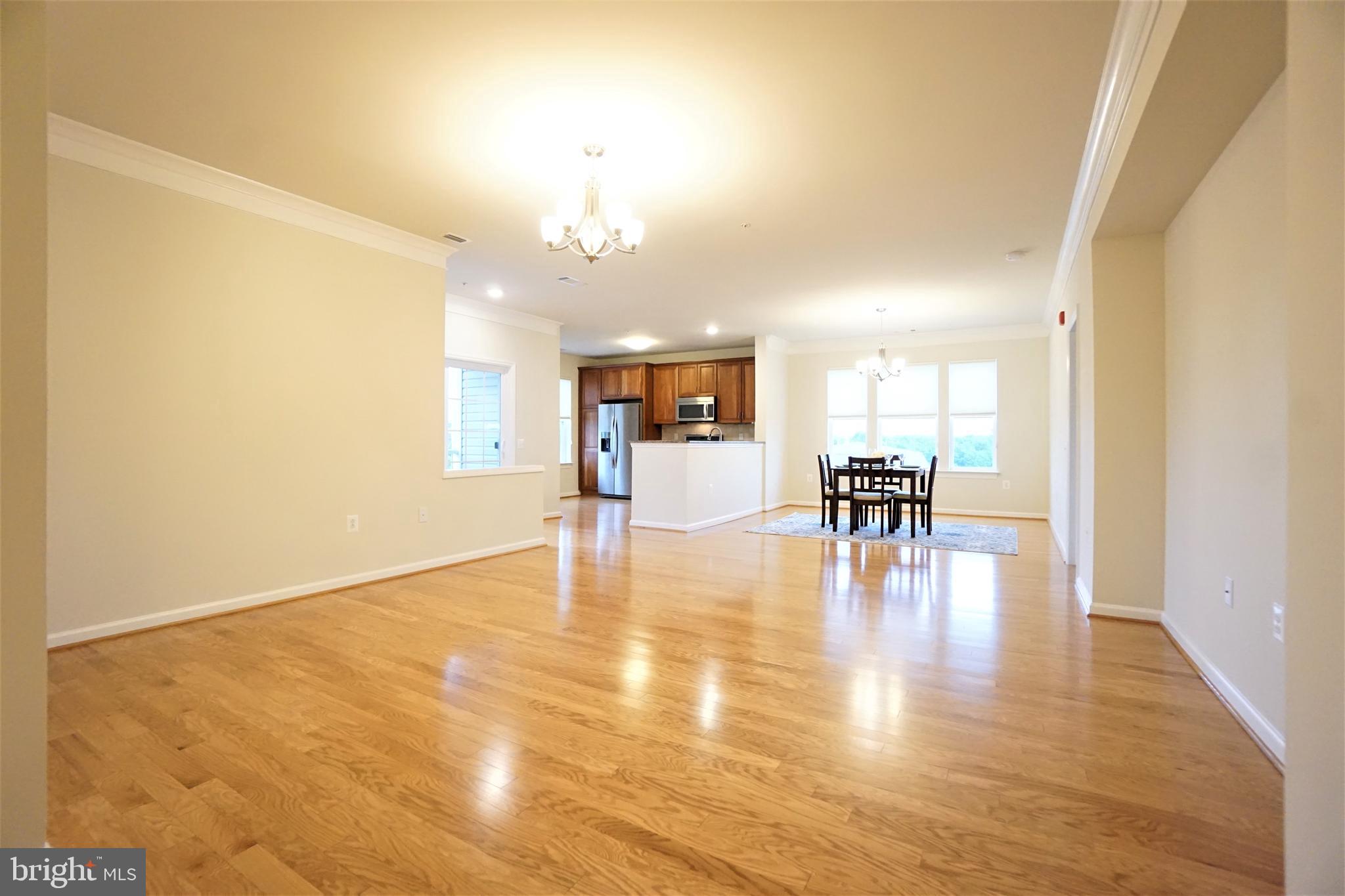 20600 Hope Spring Terrace, Unit 301 Ashburn, VA 20147 - Photo 10 of 33 Living Room.