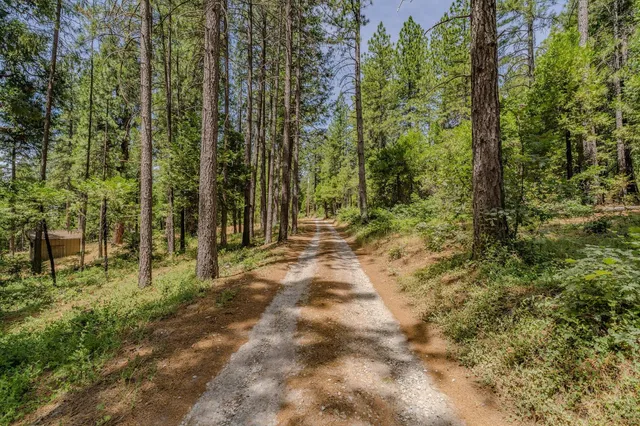 a view of outdoor space and garden