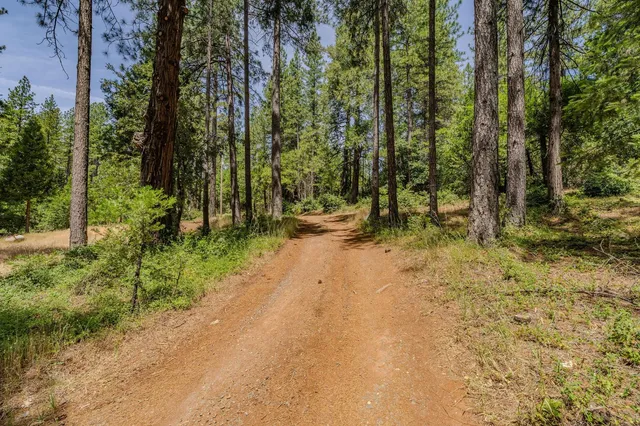 a view of dirt road with trees in the background