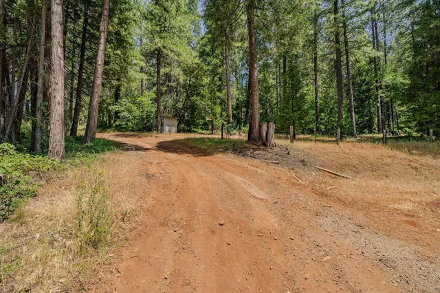 a backyard of a house with a tree