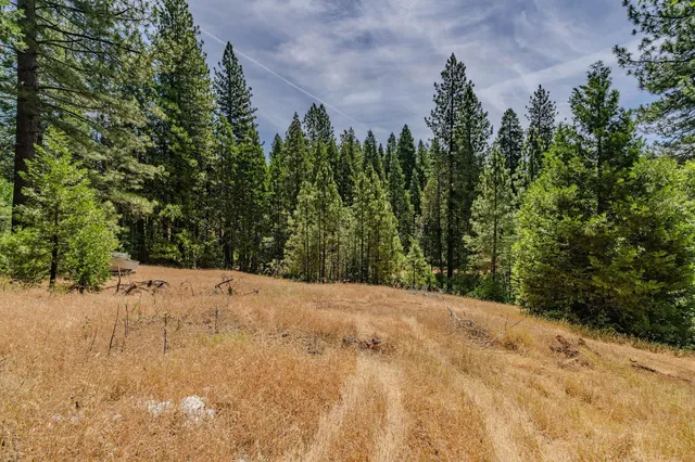a backyard of a house with lots of green space