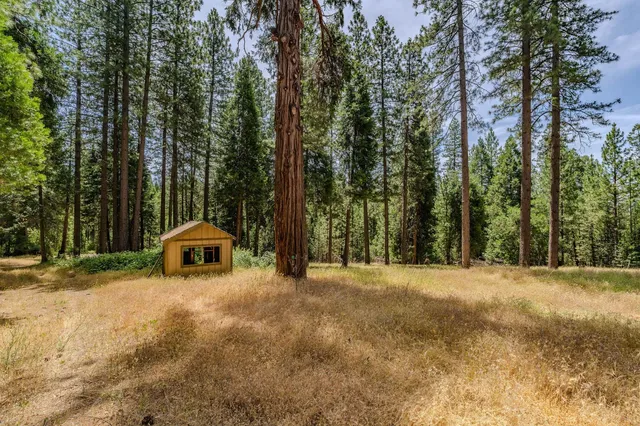 a view of a house with backyard and trees
