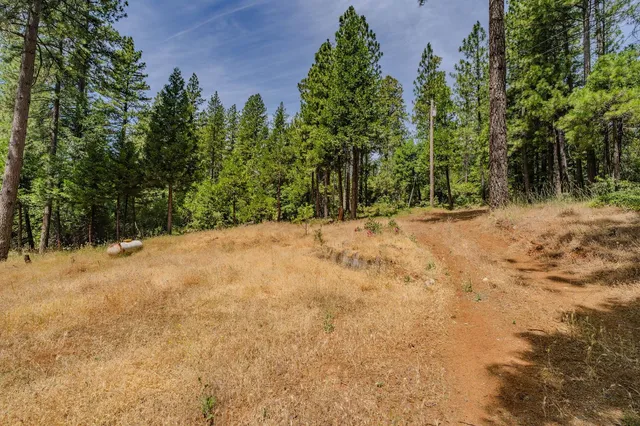 a backyard of a house with lots of green space