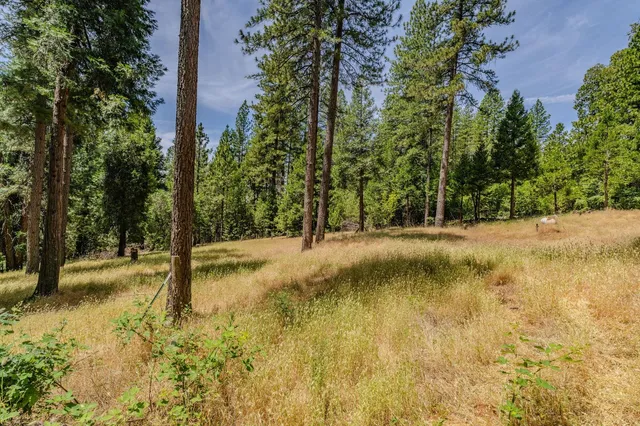 a view of a yard with swimming pool