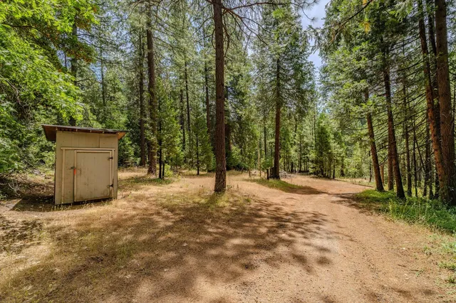 a view of a yard with trees