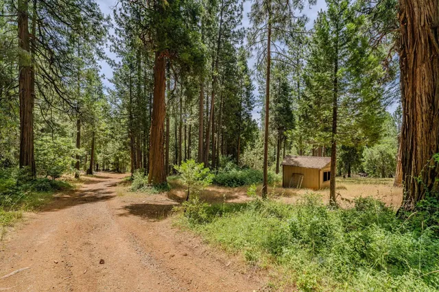 a garden view with a bench