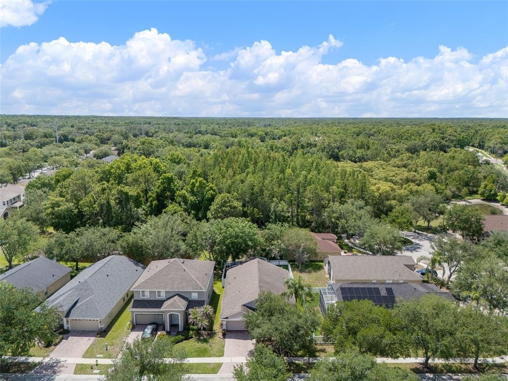 16230 Nottingham Road Tampa, FL 33647 - Photo 48 of 58 Gallery Image 48