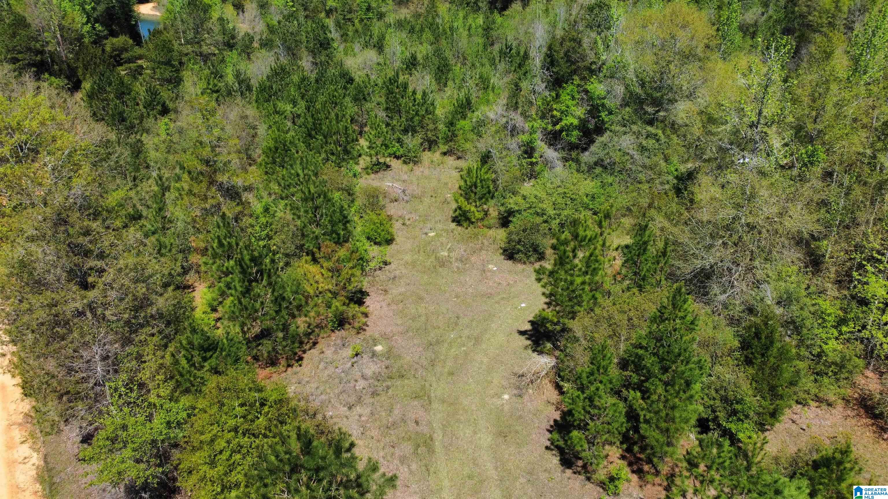 0 Richardson Road Brewton, AL 36426 - Photo 14 of 47