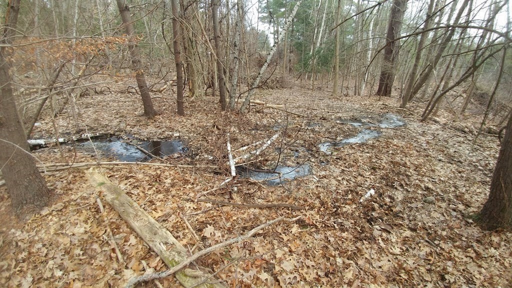 20 Wildmeadow Road Boxford, MA 01921 - Photo 3 of 40 a view of a yard with trees