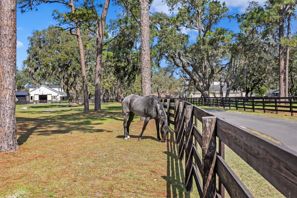 10101 Tarpon Springs Road Odessa, FL 33556 - Photo 20 of 53 a view of an outdoor space with seating