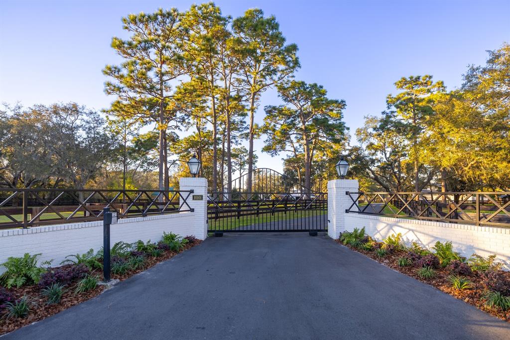 10101 Tarpon Springs Road Odessa, FL 33556 - Photo 2 of 53 a view of a park with large trees