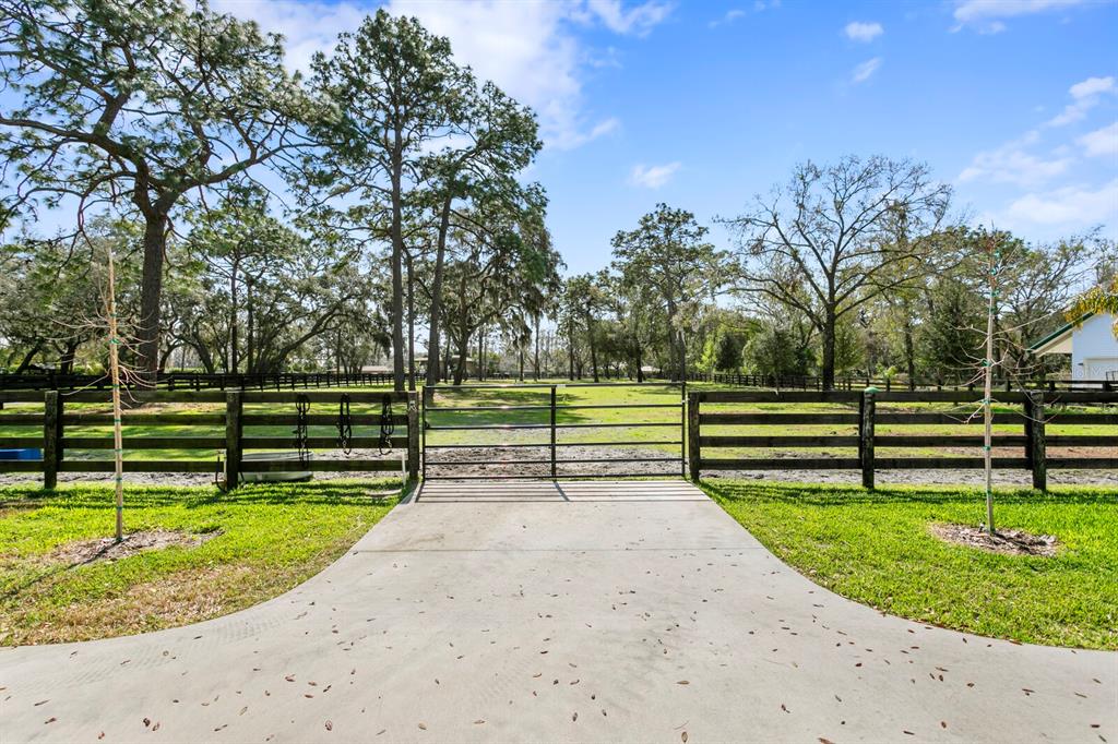 10101 Tarpon Springs Road Odessa, FL 33556 - Photo 21 of 53 a park view with bench in garden