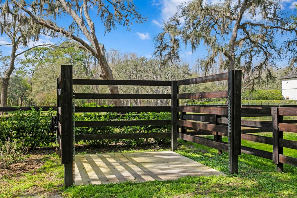 10101 Tarpon Springs Road Odessa, FL 33556 - Photo 23 of 53 a view of a bench in the garden