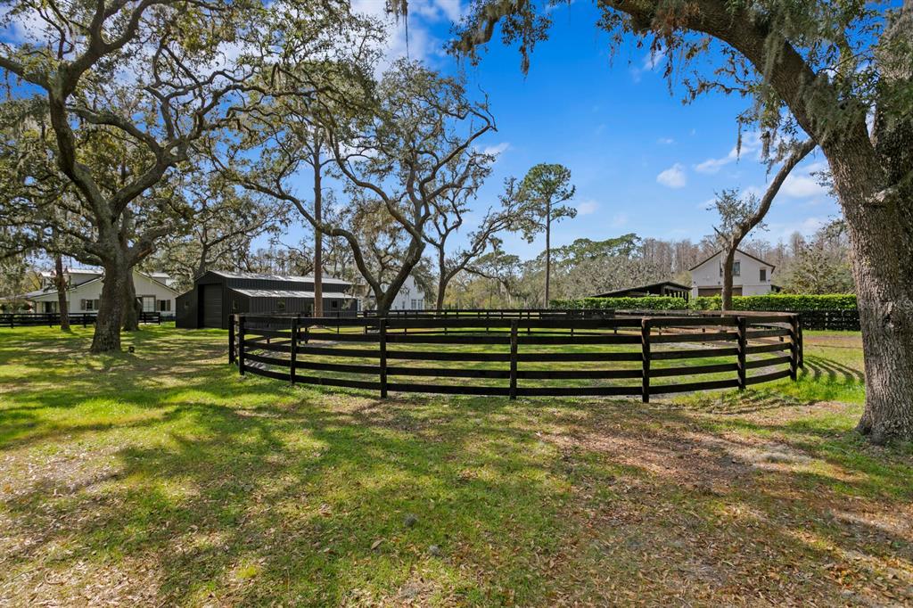 10101 Tarpon Springs Road Odessa, FL 33556 - Photo 26 of 53 a view of a bench in a park