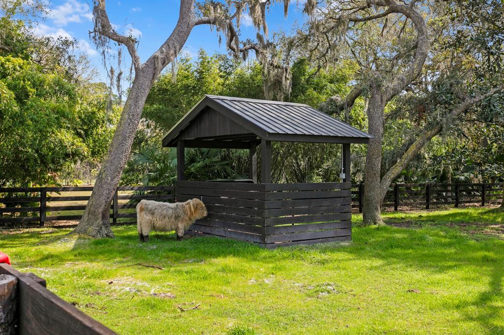 10101 Tarpon Springs Road Odessa, FL 33556 - Photo 28 of 53 a backyard of a house with barbeque oven