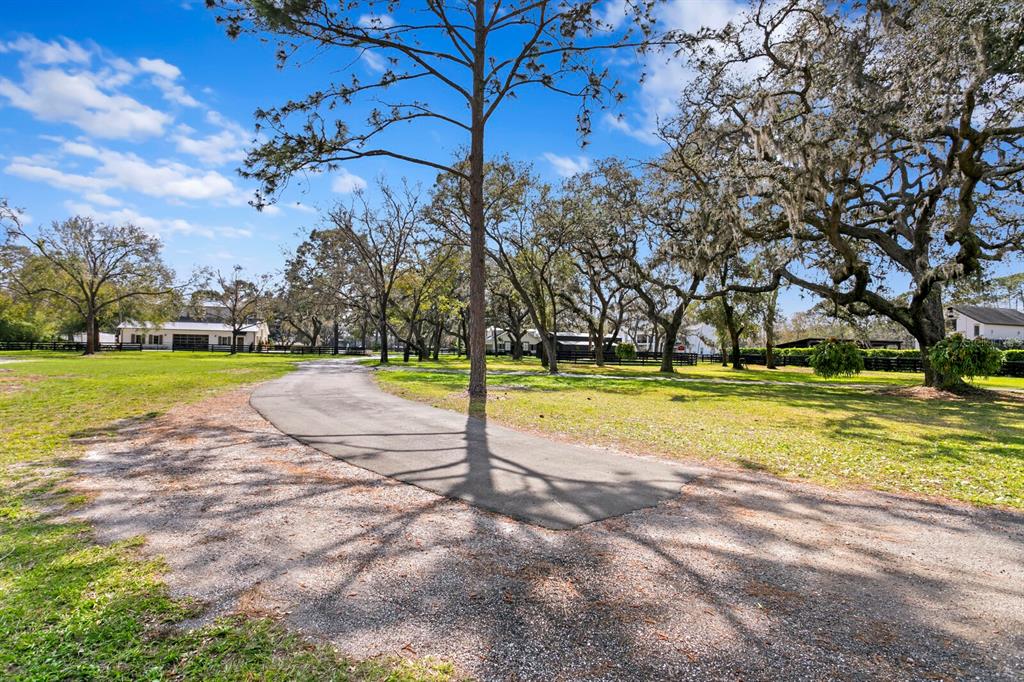 10101 Tarpon Springs Road Odessa, FL 33556 - Photo 29 of 53 a view of swimming pool with a yard