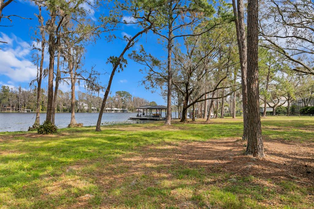 10101 Tarpon Springs Road Odessa, FL 33556 - Photo 32 of 53 a view of a yard with a tree