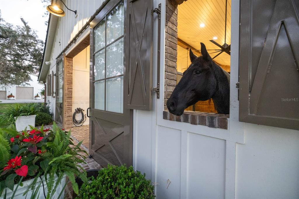 10101 Tarpon Springs Road Odessa, FL 33556 - Photo 42 of 53 a view of a house with a flower garden
