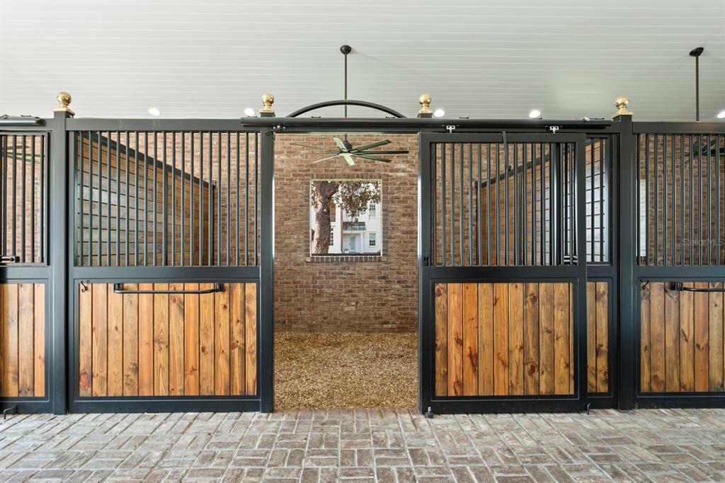 10101 Tarpon Springs Road Odessa, FL 33556 - Photo 8 of 53