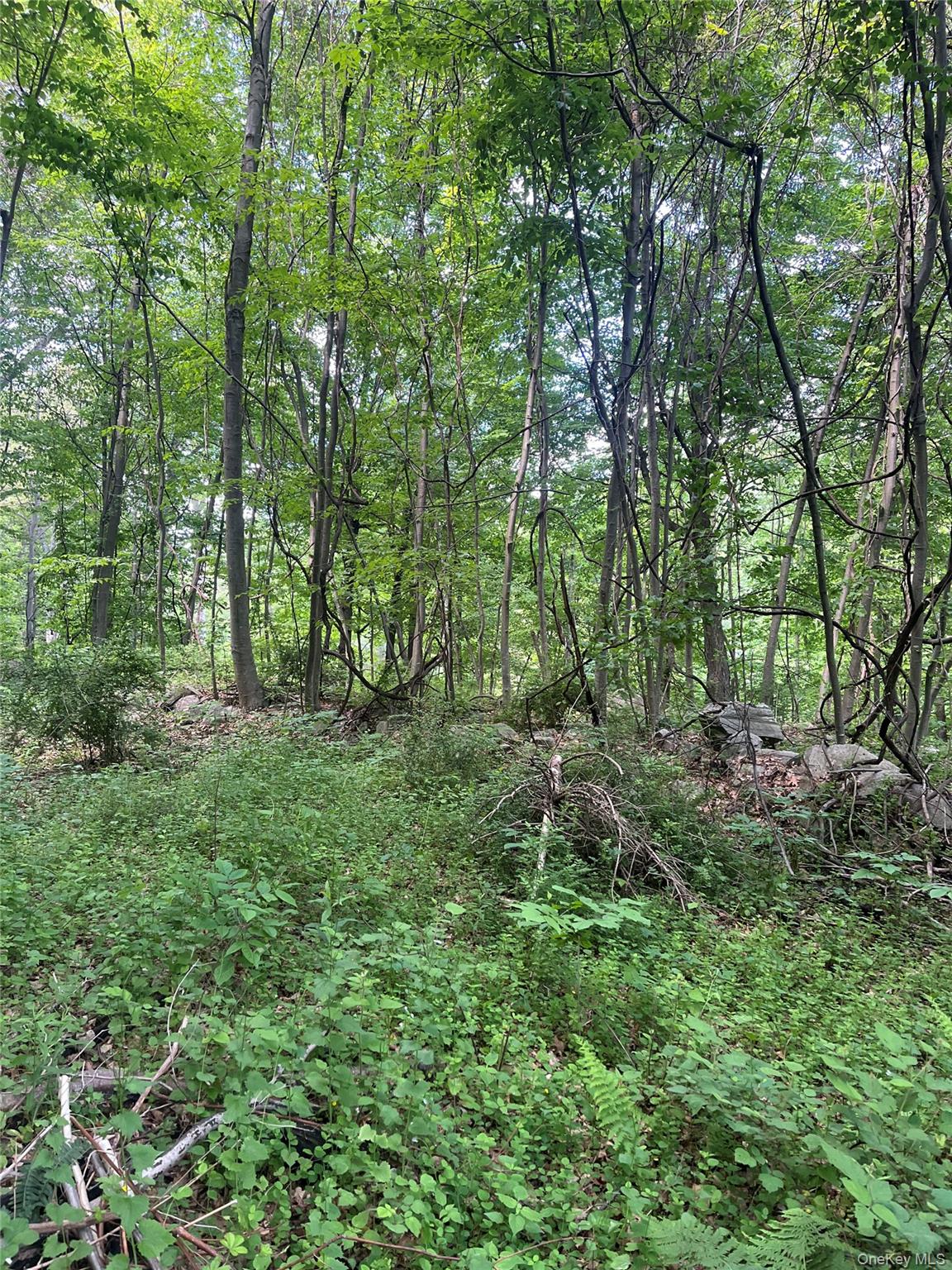 Old Church Road Putnam Valley, NY 10579 - Photo 17 of 26 a view of outdoor space and green space
