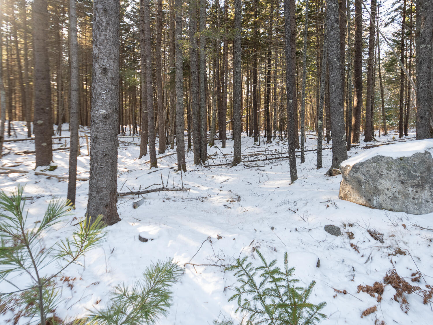 25 Long Pond Road Southwest Harbor, ME 04679 - Photo 3 of 6