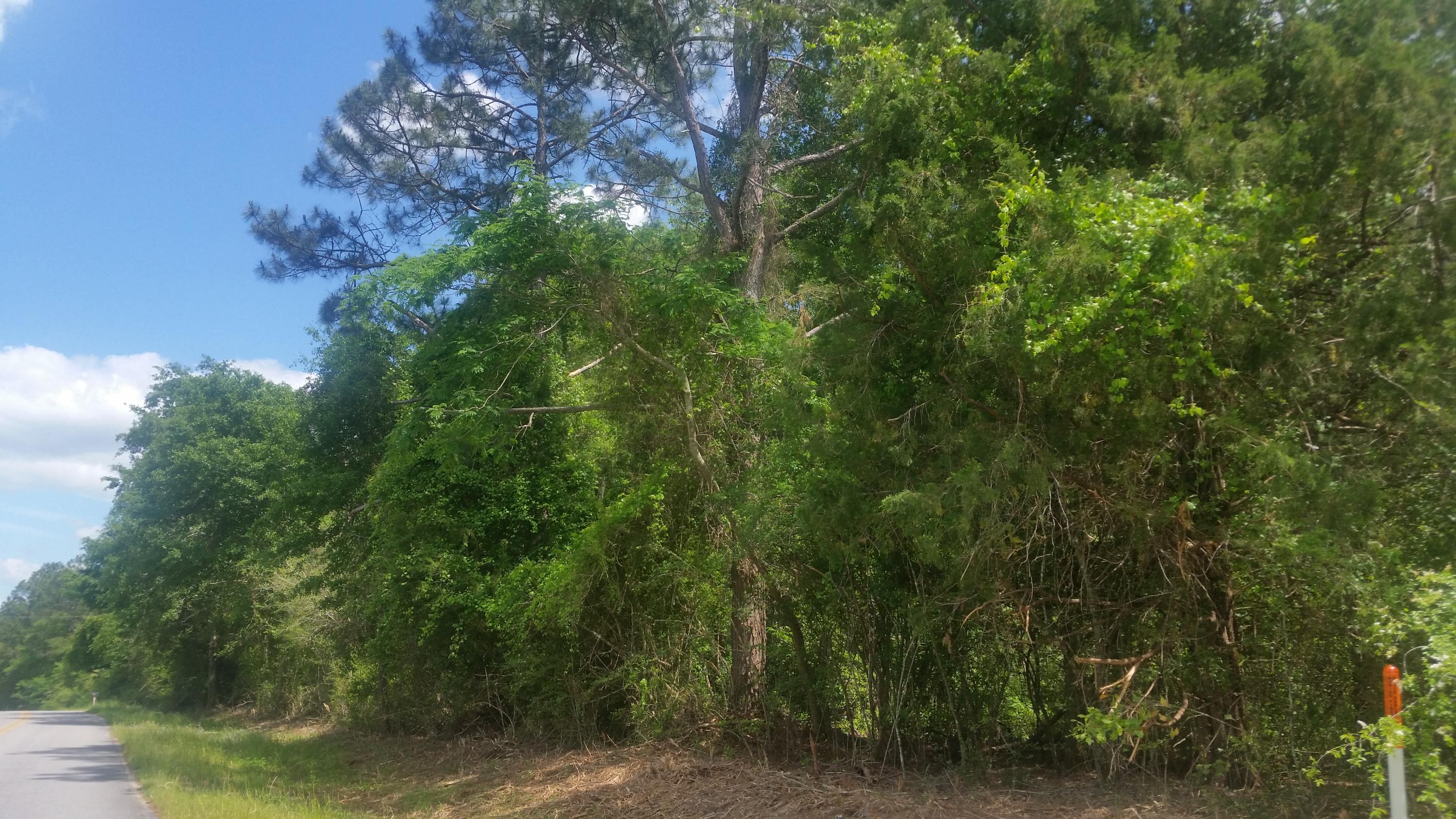 59 acres on paved road