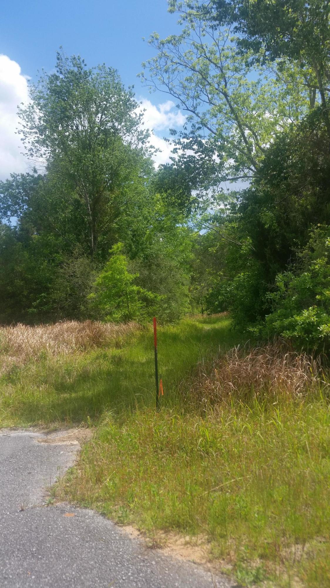 59-acres Punch Bowl Road DeFuniak Springs, FL 32433 - Photo 13 of 19 20210427_140623