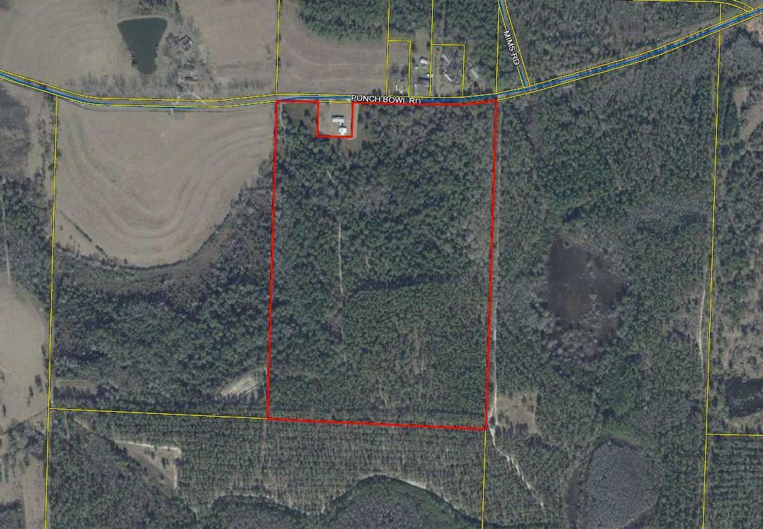 59-acres Punch Bowl Road DeFuniak Springs, FL 32433 - Photo 14 of 19 Aerial