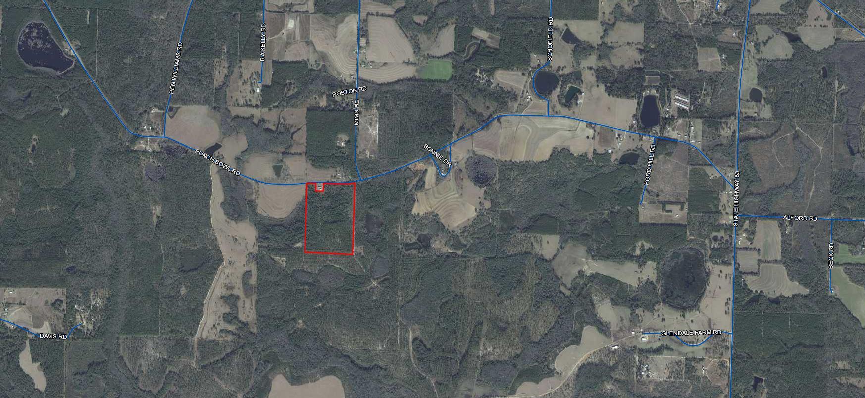 59-acres Punch Bowl Road DeFuniak Springs, FL 32433 - Photo 15 of 19 Larger Aerial