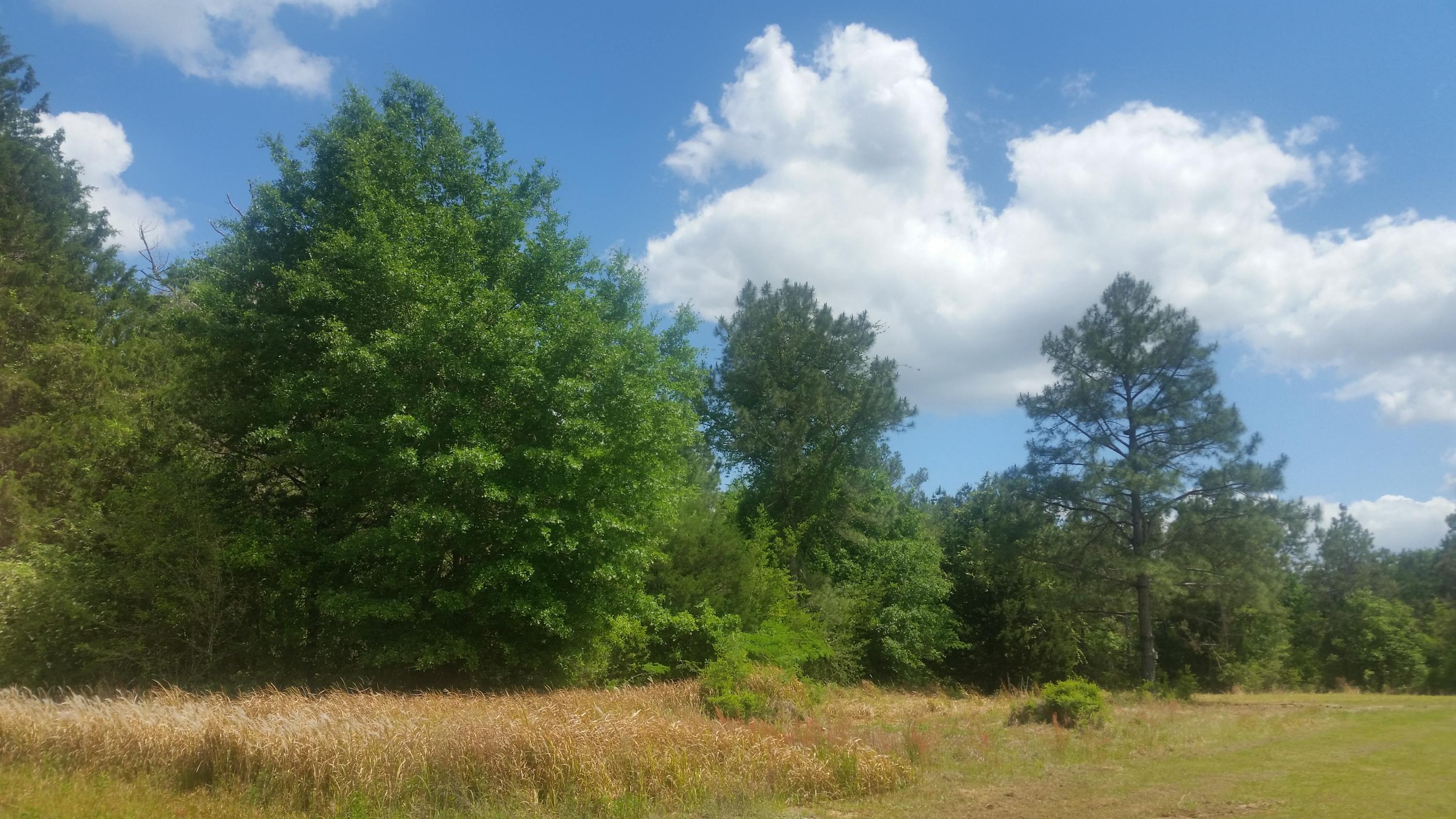 West boundary