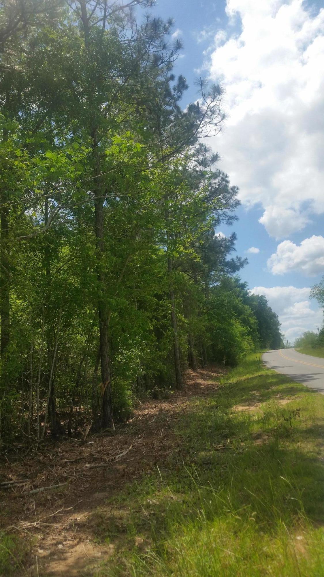 59-acres Punch Bowl Road DeFuniak Springs, FL 32433 - Photo 8 of 19 20210427_140844