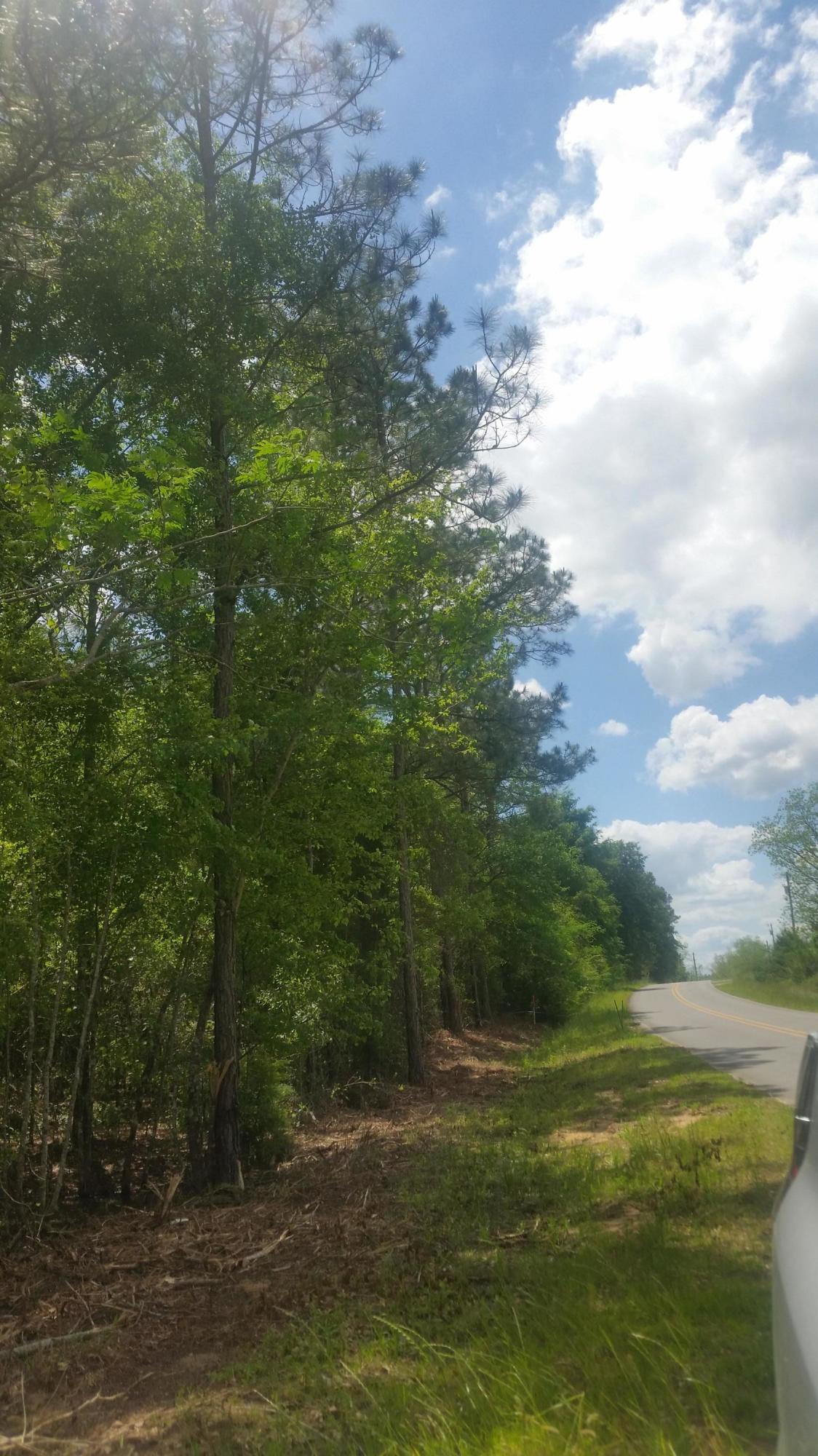 59-acres Punch Bowl Road DeFuniak Springs, FL 32433 - Photo 9 of 19 20210427_140847