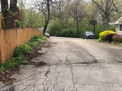 1600 Middletree Road Joliet, IL 60433 - Photo 5 of 22 a backyard of a house with lots of green space and trees