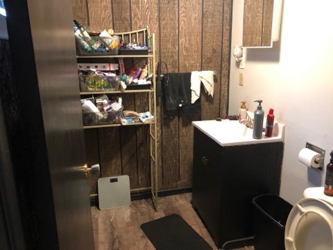 1600 Middletree Road Joliet, IL 60433 - Photo 9 of 22 a bathroom with a sink and a mirror
