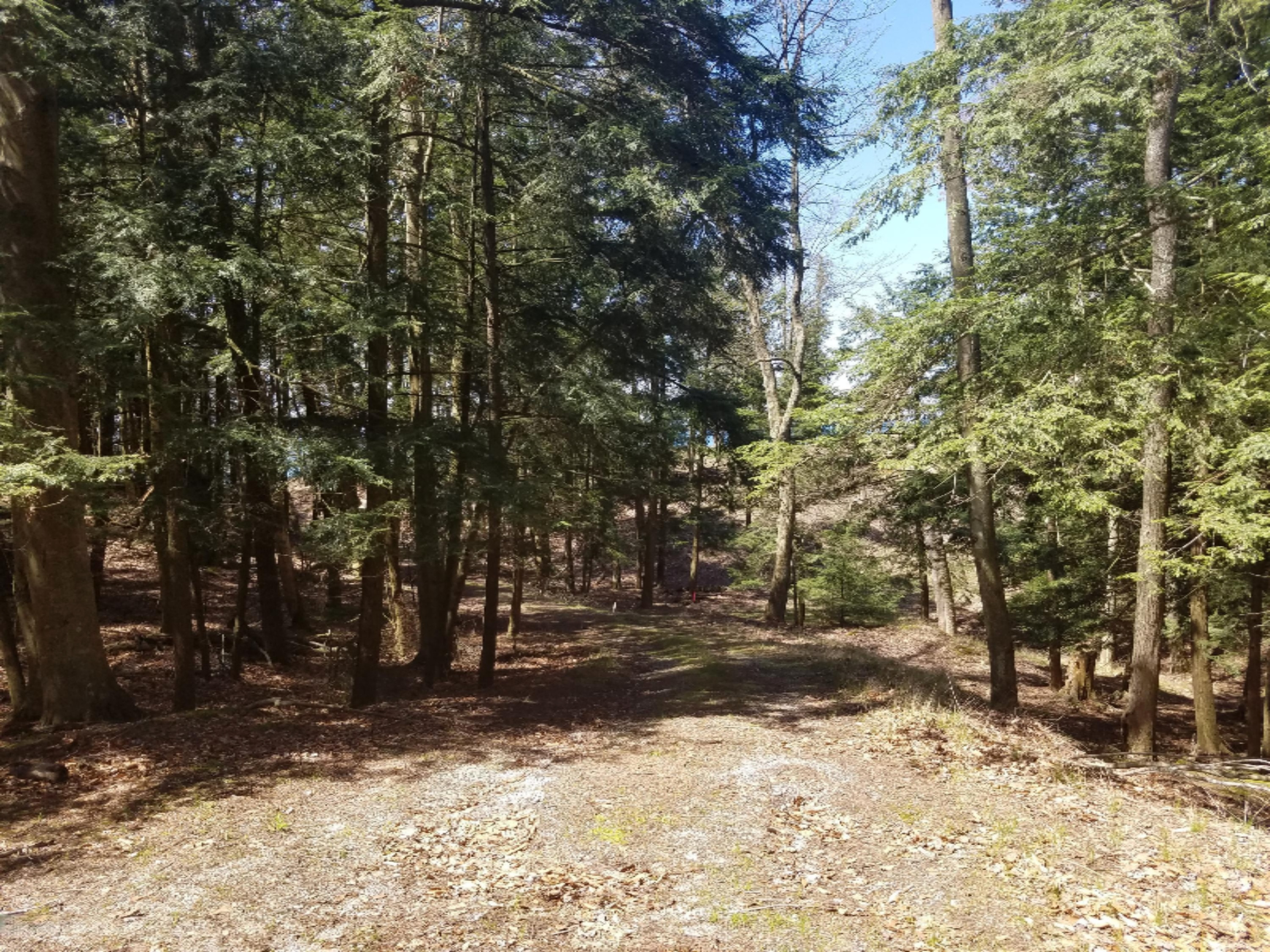 0 Mack Road Pentwater, MI 49449 - Photo 1 of 17 20170503_124545