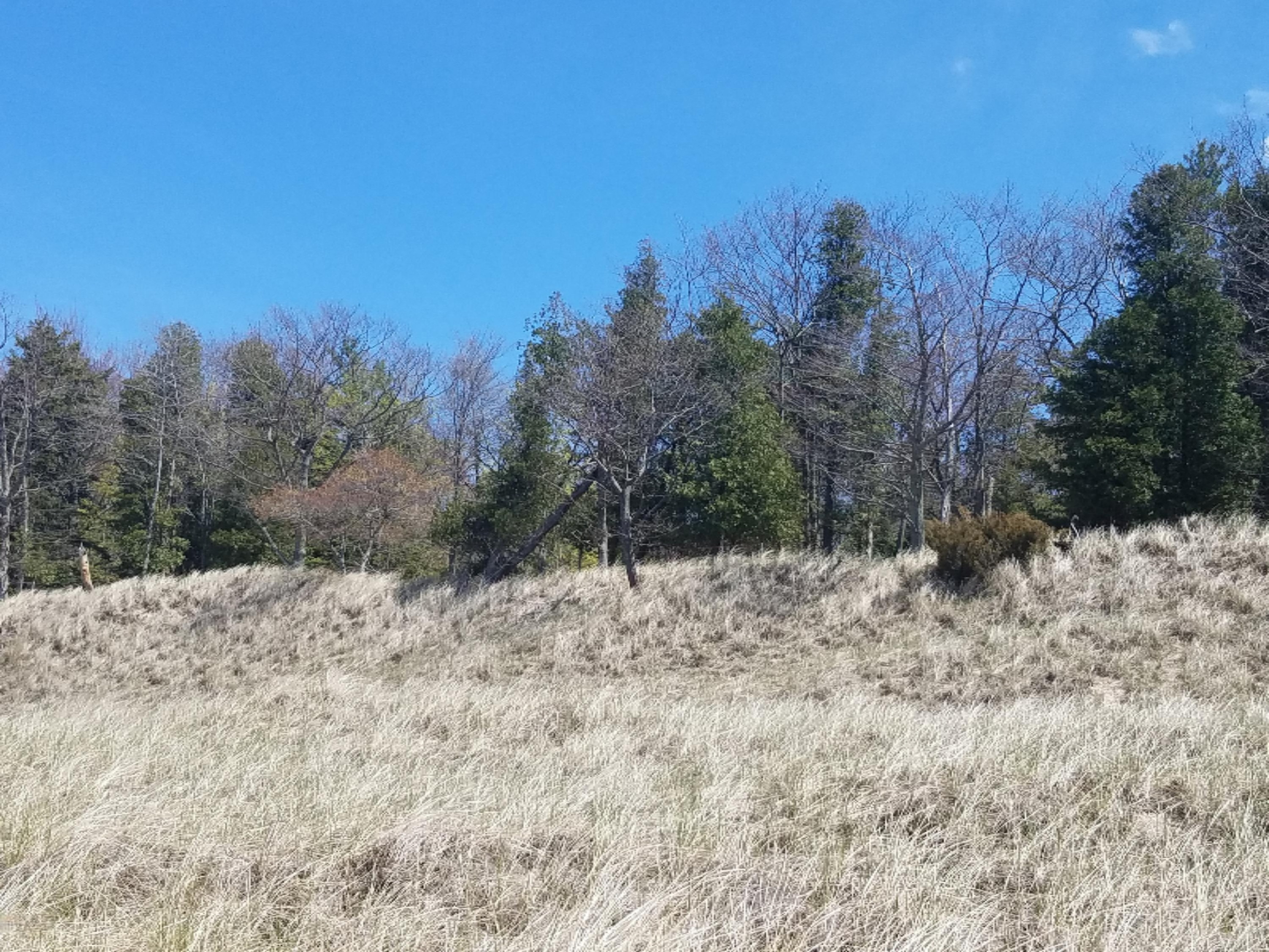 0 Mack Road Pentwater, MI 49449 - Photo 11 of 17 20170503_125154