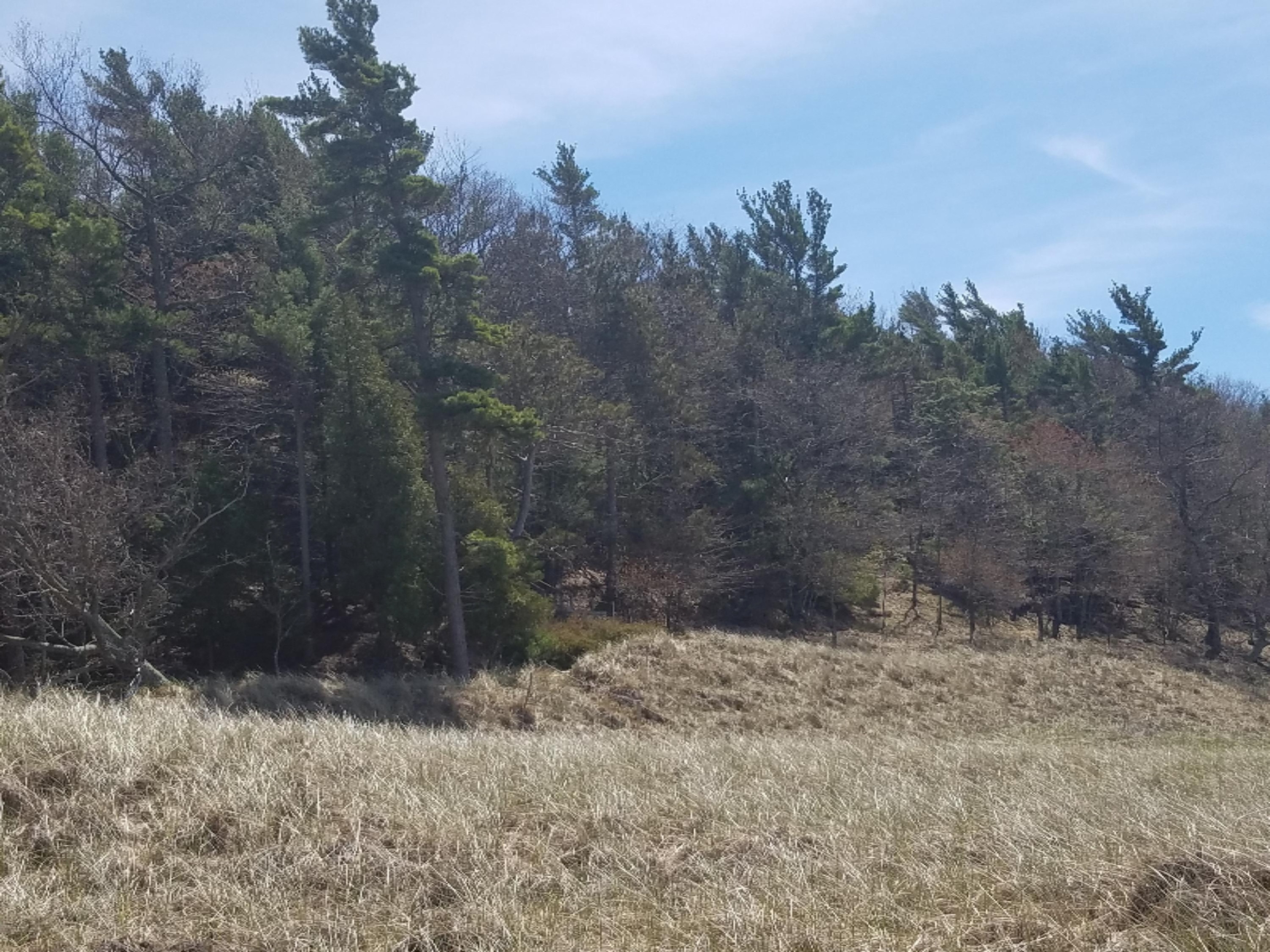 0 Mack Road Pentwater, MI 49449 - Photo 12 of 17 20170503_125157