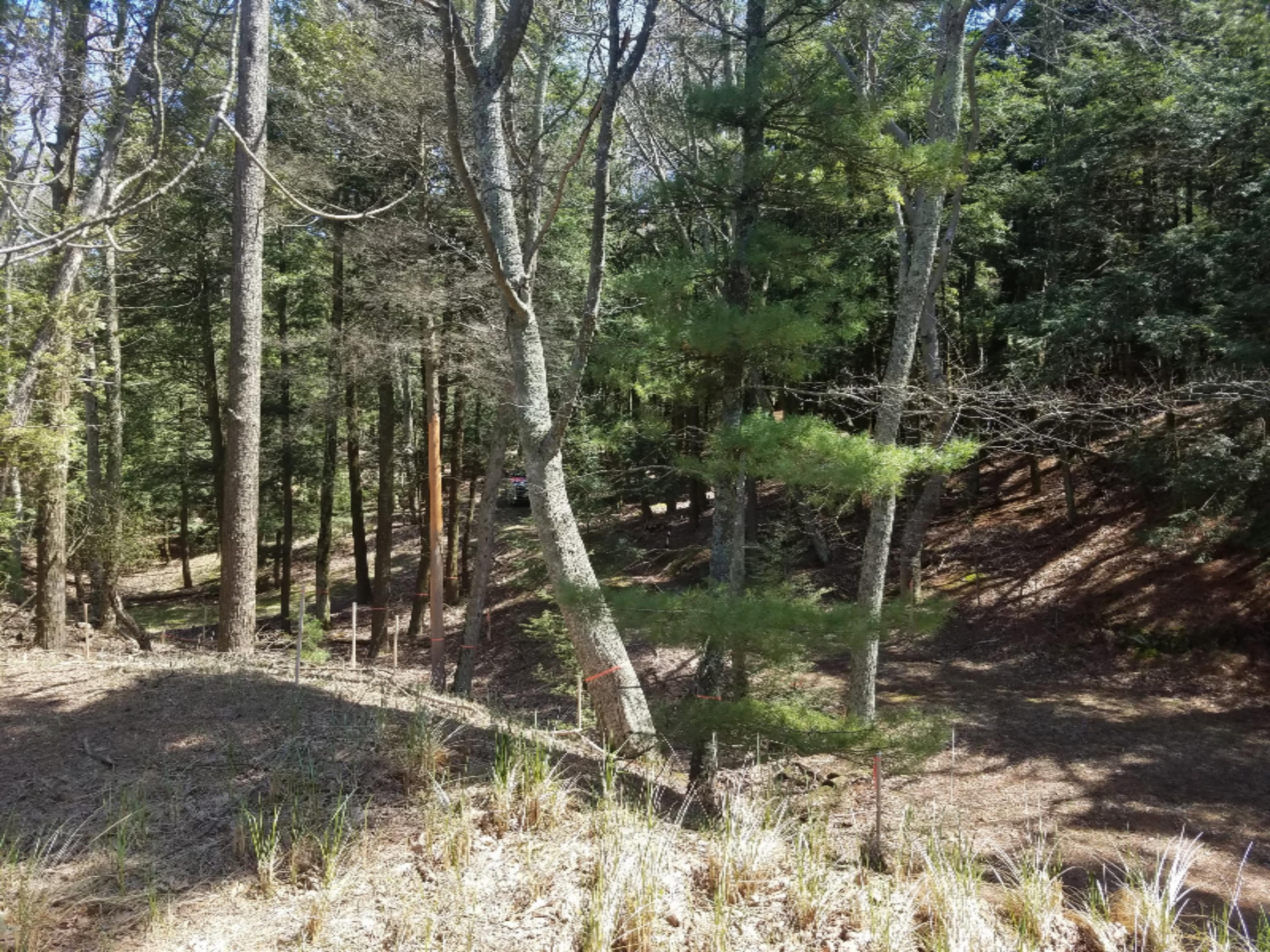 0 Mack Road Pentwater, MI 49449 - Photo 17 of 17 20170503_125348