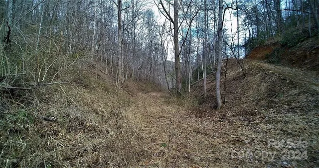 $1,500,000 | Tbd Tee Pee Drive, Whittier, NC 28789