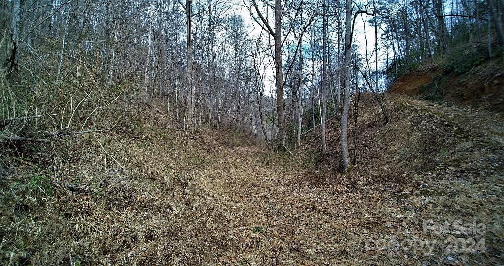 Tbd Tee Pee Drive Whittier, NC 28789 - Photo 11 of 25