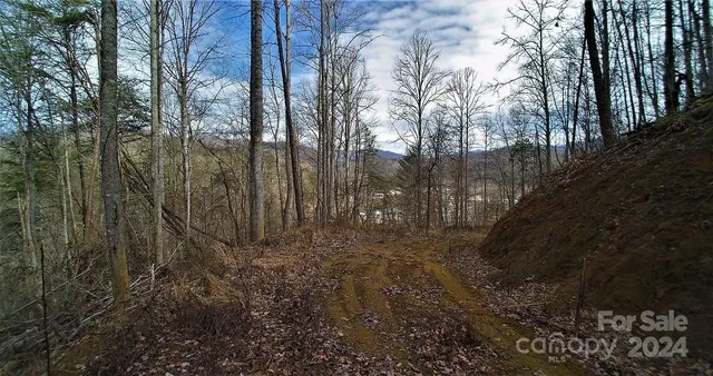 $1,500,000 | Tbd Tee Pee Drive, Whittier, NC 28789