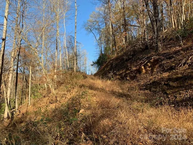 $1,500,000 | Tbd Tee Pee Drive, Whittier, NC 28789