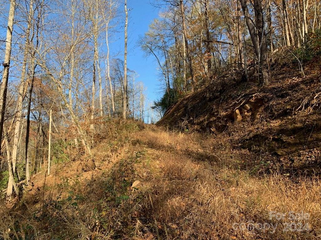 Tbd Tee Pee Drive Whittier, NC 28789 - Photo 15 of 25