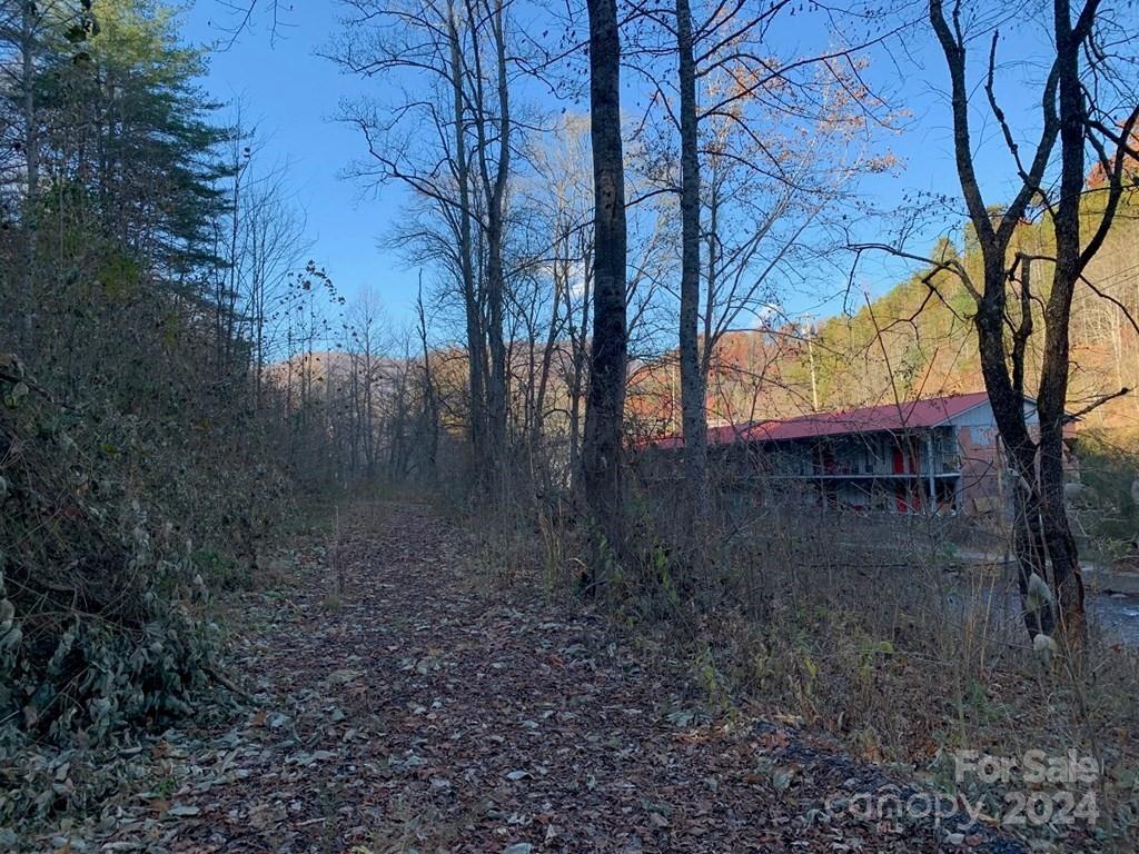 Tbd Tee Pee Drive Whittier, NC 28789 - Photo 16 of 25