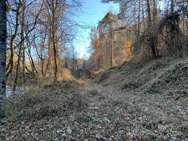 $1,500,000 | Tbd Tee Pee Drive, Whittier, NC 28789