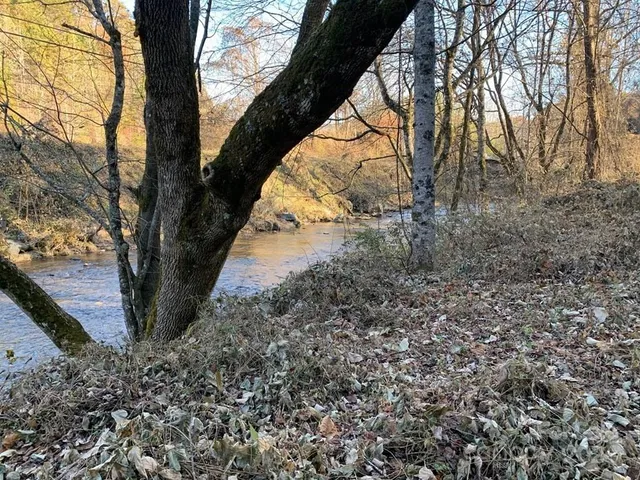 $1,500,000 | Tbd Tee Pee Drive, Whittier, NC 28789