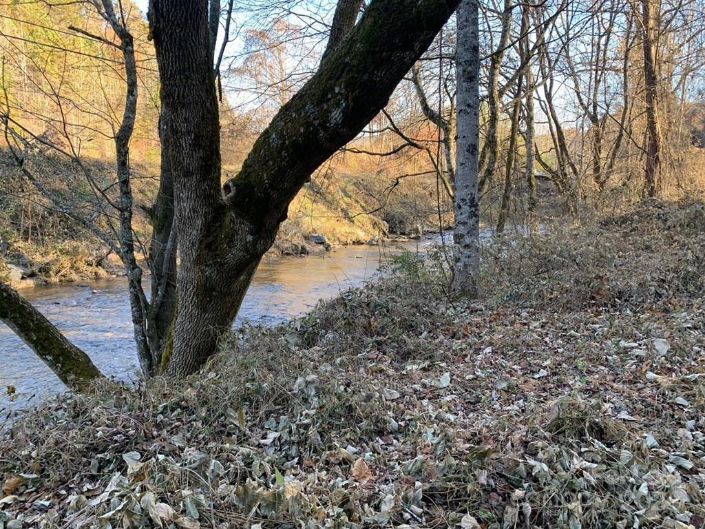 Tbd Tee Pee Drive Whittier, NC 28789 - Photo 20 of 25