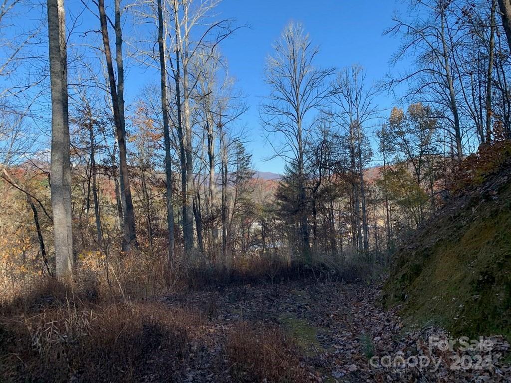 Tbd Tee Pee Drive Whittier, NC 28789 - Photo 5 of 25
