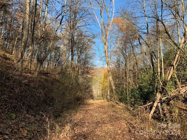 $1,500,000 | Tbd Tee Pee Drive, Whittier, NC 28789