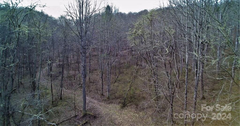 Tbd Tee Pee Drive Whittier, NC 28789 - Photo 9 of 25